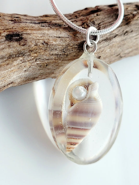 Sea shell necklace